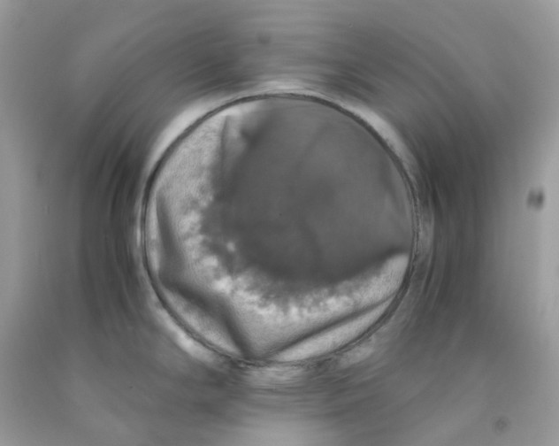 X0000091551294200709141508