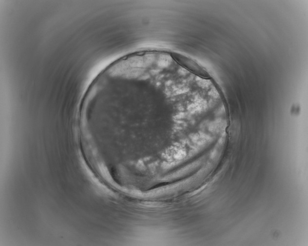 X0000091551295200709141508