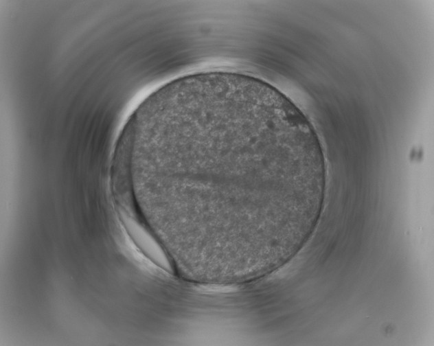 X0000091551296200709141508