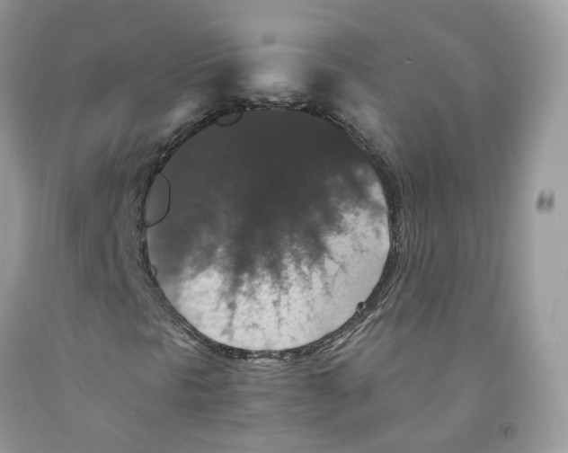 X0000091551297200709141508