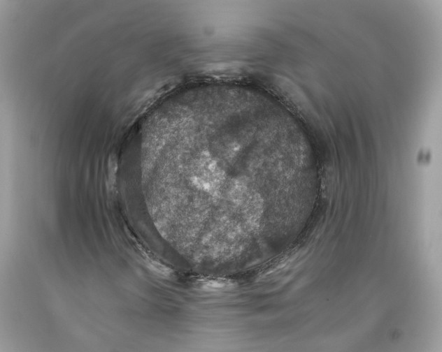 X0000091551298200709141508