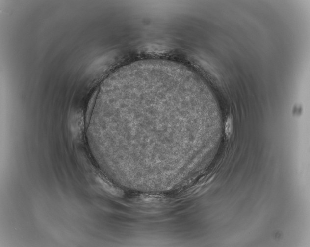 X0000091551299200709141508