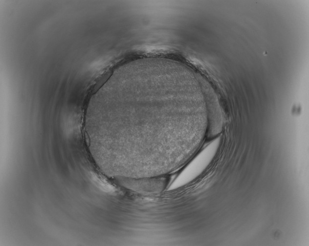 X0000091551300200709141508