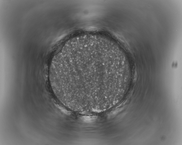 X0000091551301200709141508