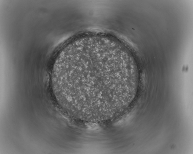 X0000091551302200709141508