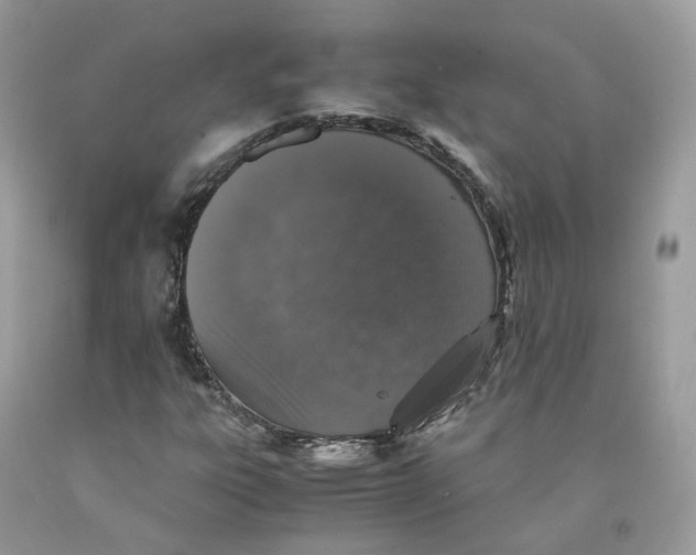 X0000091551303200709141508