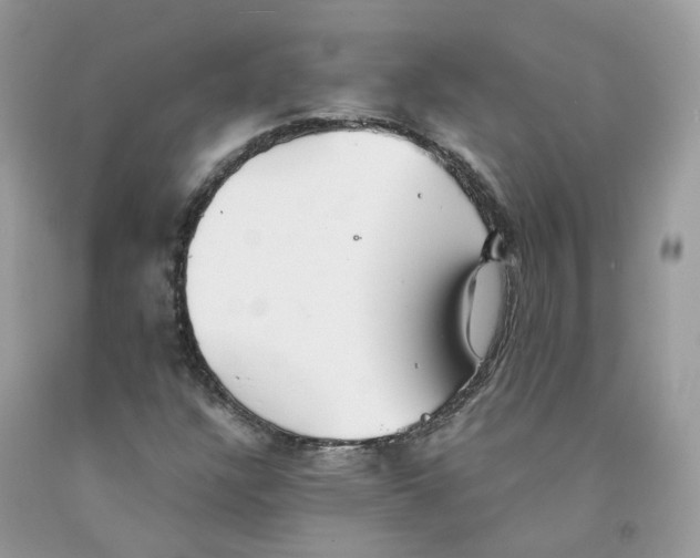 X0000091551304200709141508