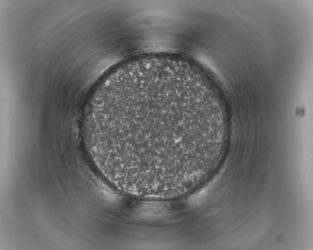 X0000091551305200709141508