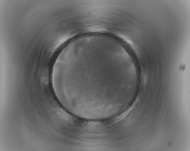 X0000091551306200709141508