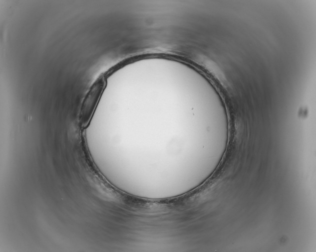 X0000091551308200709141508