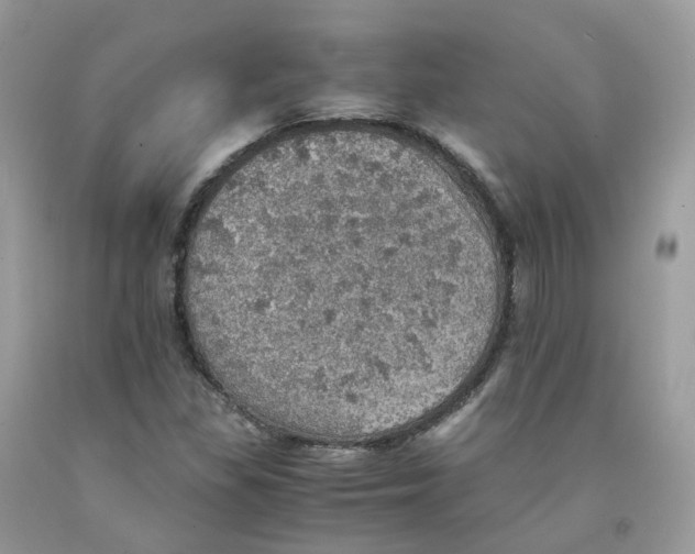 X0000091551309200709141508