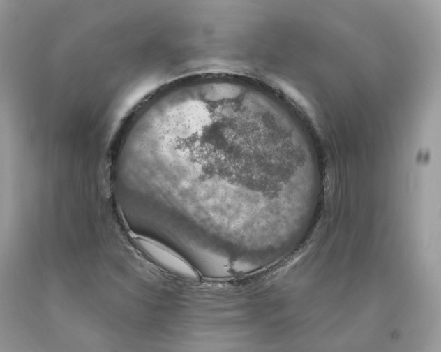 X0000091551310200709141508