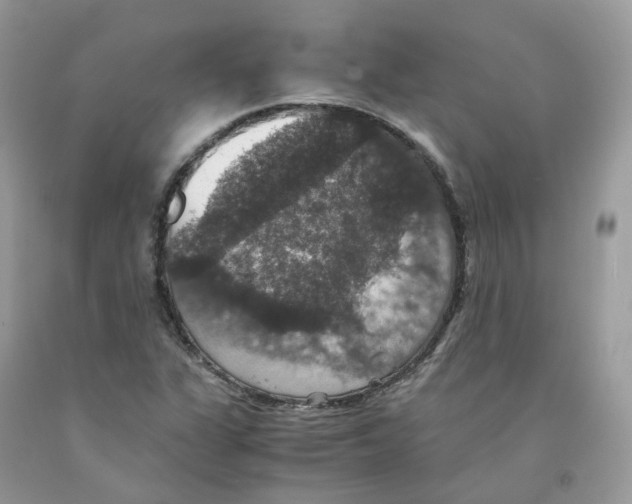 X0000091551311200709141508