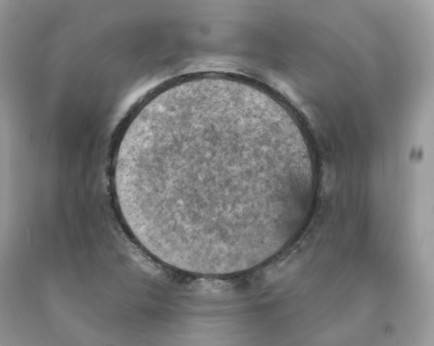 X0000091551312200709141508