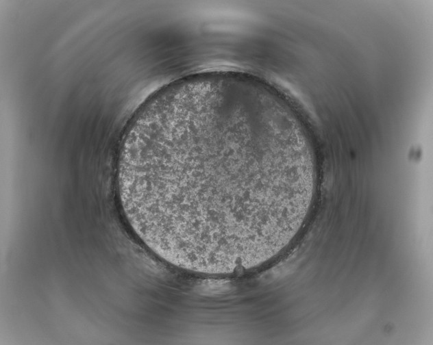 X0000091551313200709141508