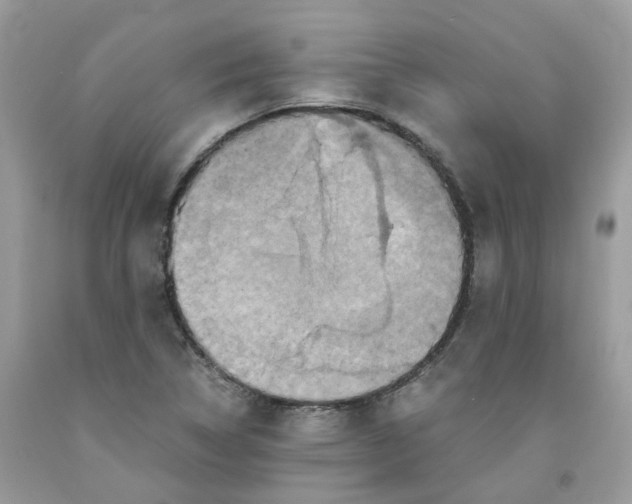 X0000091551314200709141508