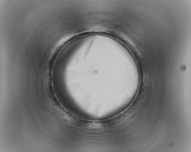 X0000091551315200709141508