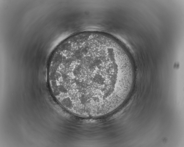 X0000091551317200709141508