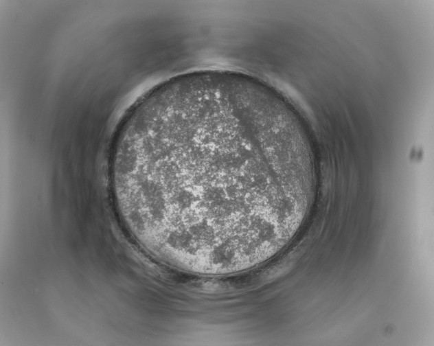 X0000091551318200709141508