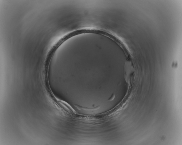 X0000091551319200709141508