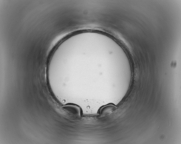 X0000091551320200709141508