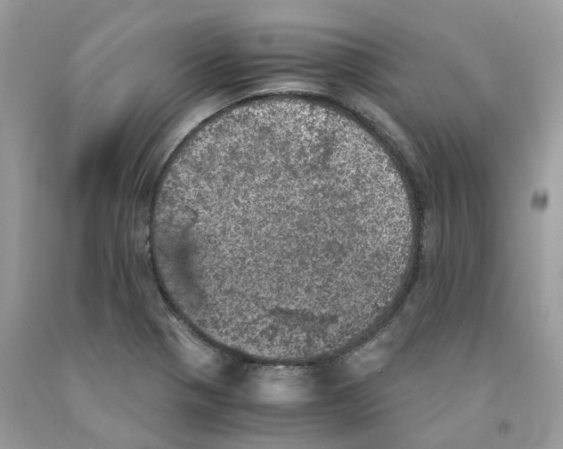 X0000091551321200709141508