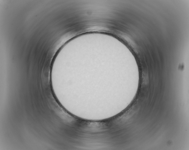 X0000091551322200709141508