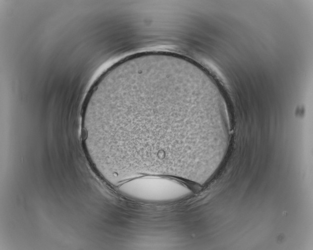 X0000091551324200709141508