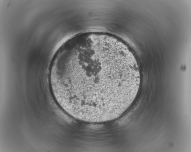 X0000091551325200709141508