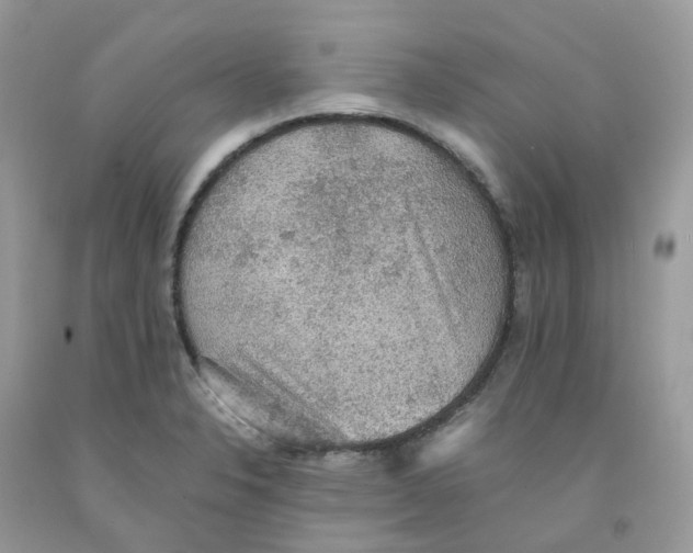 X0000091551326200709141508