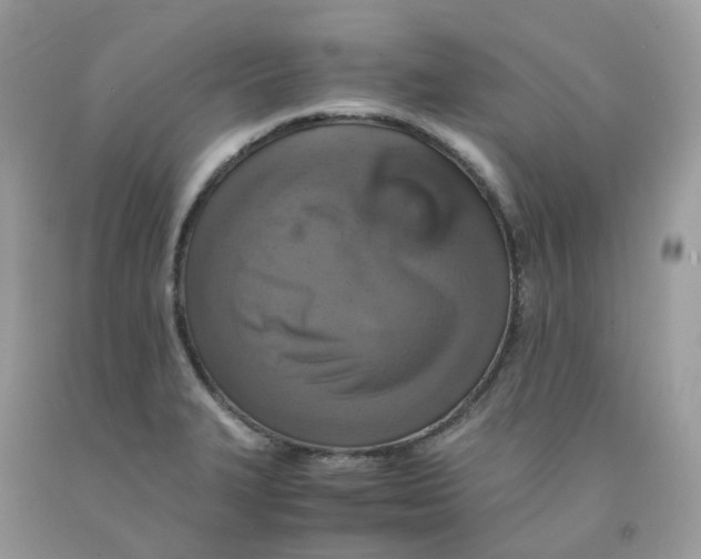 X0000091551327200709141508