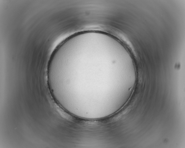 X0000091551328200709141508