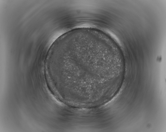 X0000091551329200709141508