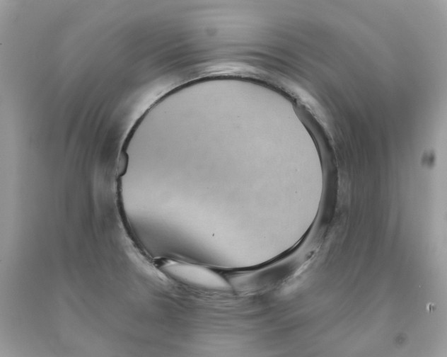 X0000091551330200709141508