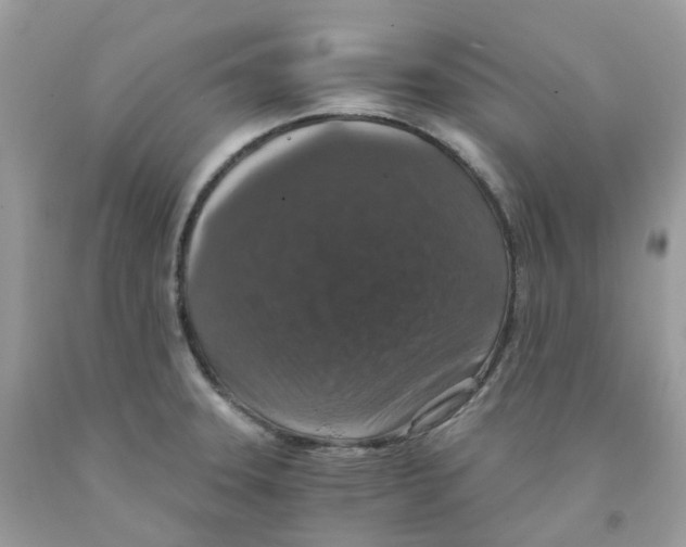 X0000091551331200709141508