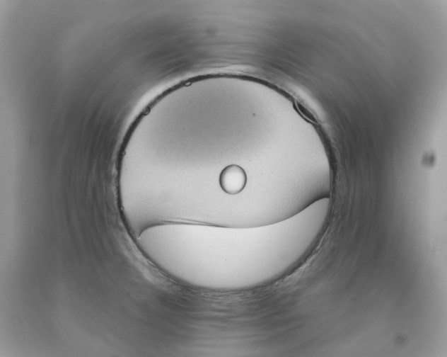 X0000091551332200709141508