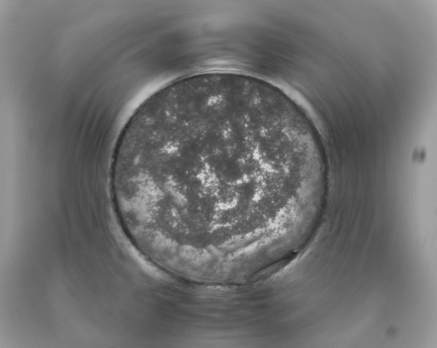 X0000091551333200709141508