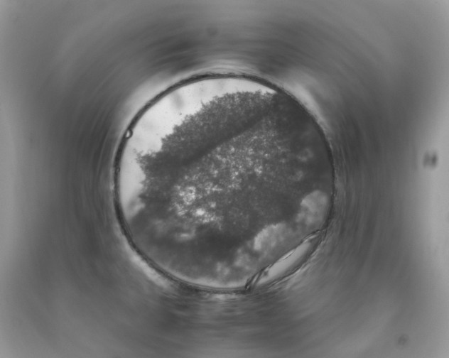 X0000091551335200709141508