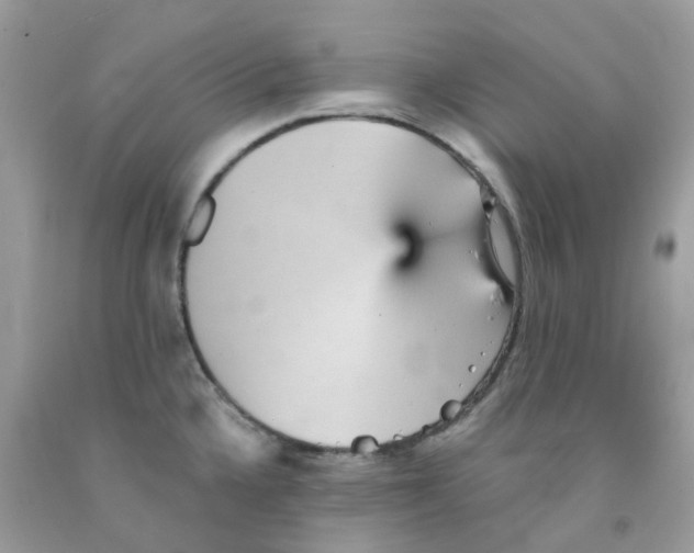 X0000091551336200709141508