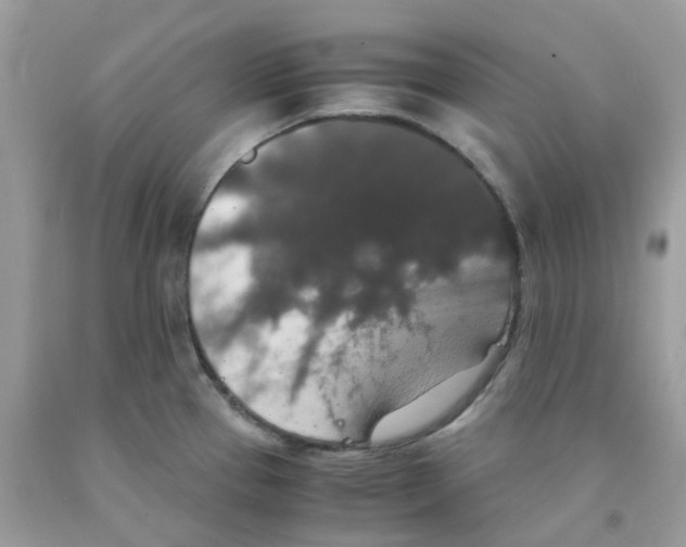 X0000091551337200709141508