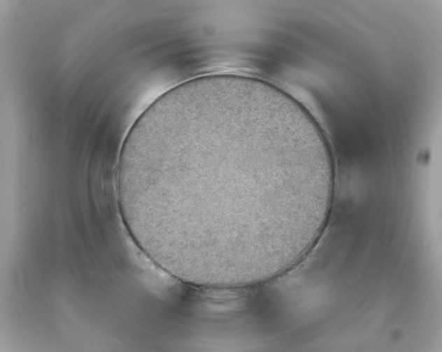 X0000091551338200709141508