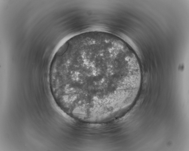 X0000091551339200709141508