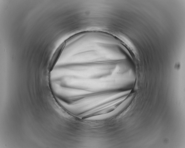 X0000091551340200709141508