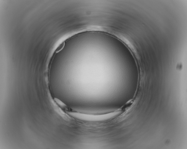 X0000091551342200709141508