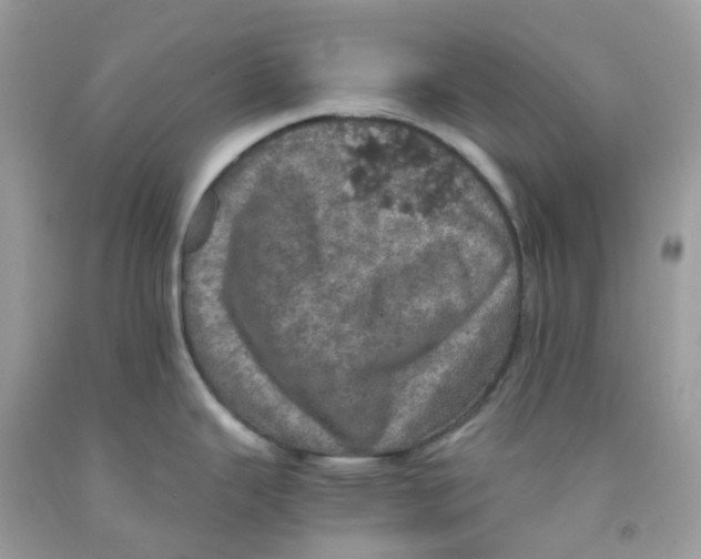 X0000091551343200709141508