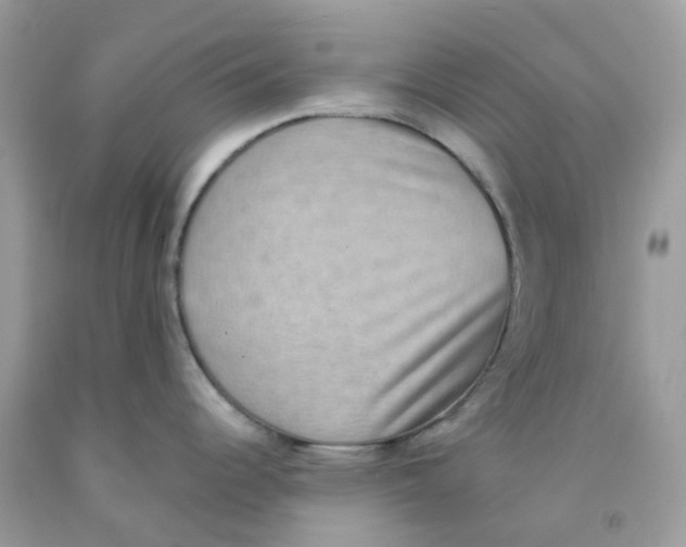 X0000091551344200709141508