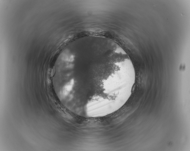 X0000091551346200709141507