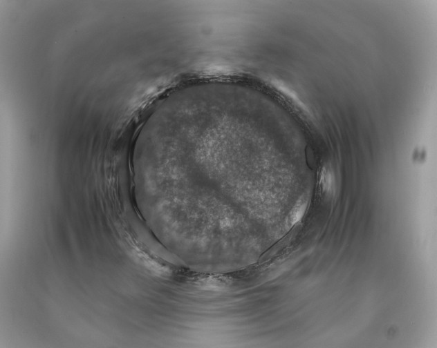 X0000091551348200709141507