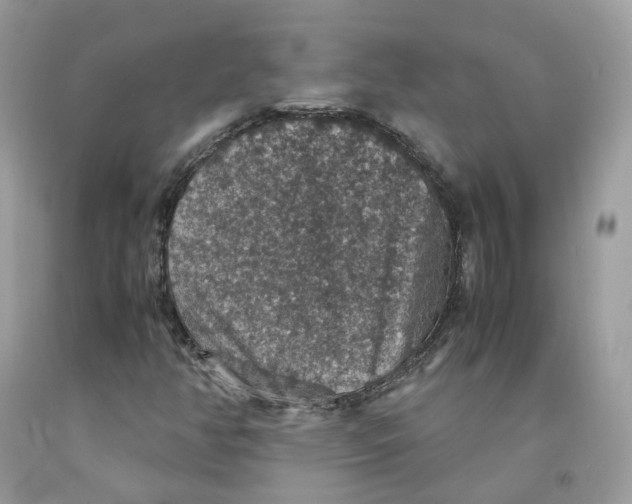 X0000091551350200709141507