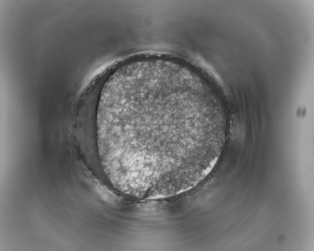 X0000091551352200709141507